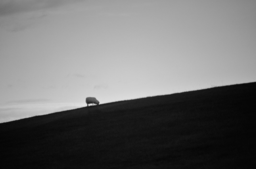 Home page Stefano Rubicondo photographer
